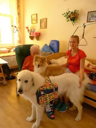 Chci být zooterapeut