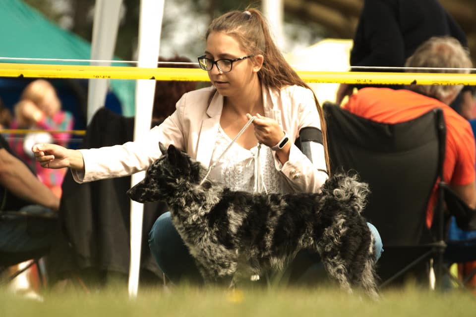 Pavla Krausová — Foto a propagace, canisterapeut